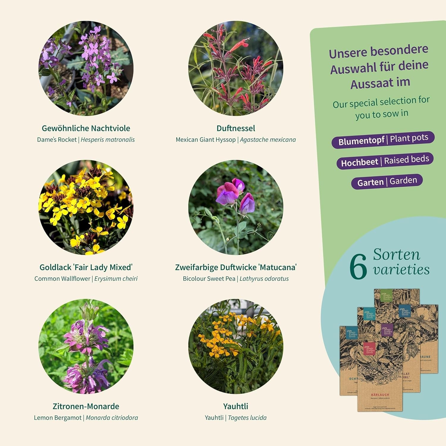 Semințe Magic Garden - Cutie cu semințe de plante parfumate - Magie florală pentru balcon, strat de flori și simțuri - Semințe cu polenizare liberă, flori fermecătoare ca idee de cadou pentru pasionații de grădinărit