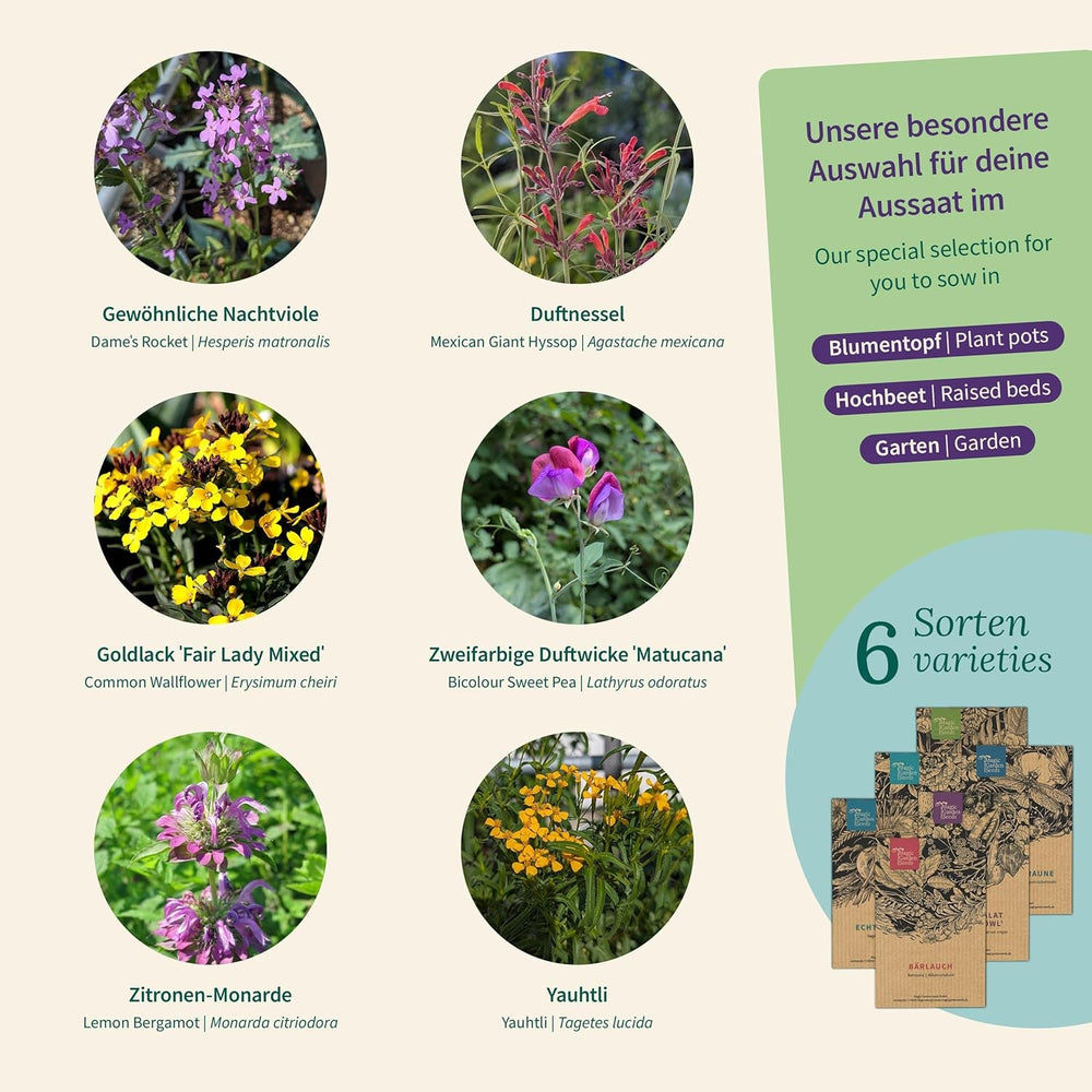 Semințe Magic Garden - Cutie cu semințe de plante parfumate - Magie florală pentru balcon, strat de flori și simțuri - Semințe cu polenizare liberă, flori fermecătoare ca idee de cadou pentru pasionații de grădinărit