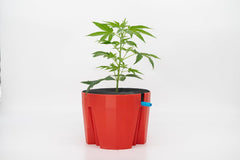 Hydro Farmer, set de ghivece cu 19 piese Ø 18 cm (roșu), sistem de creștere care include 4 ghivece, 4 inele de udare, 4 capace, set adaptor și furtun de 2 m, hidroponică, aeroponică