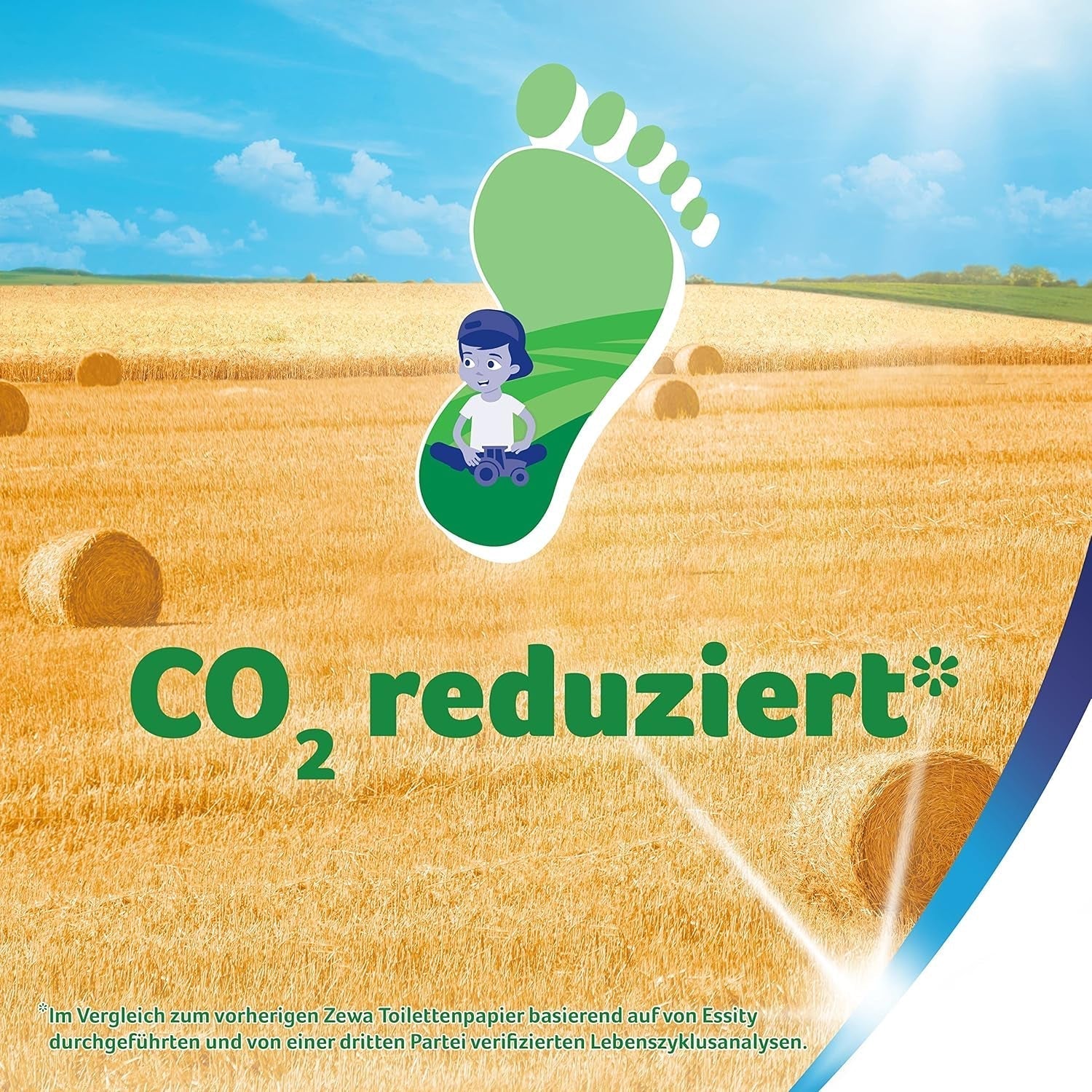 Zewa Proven - 48 role - Prima hârtie igienică cu conținut de paie - 3 straturi