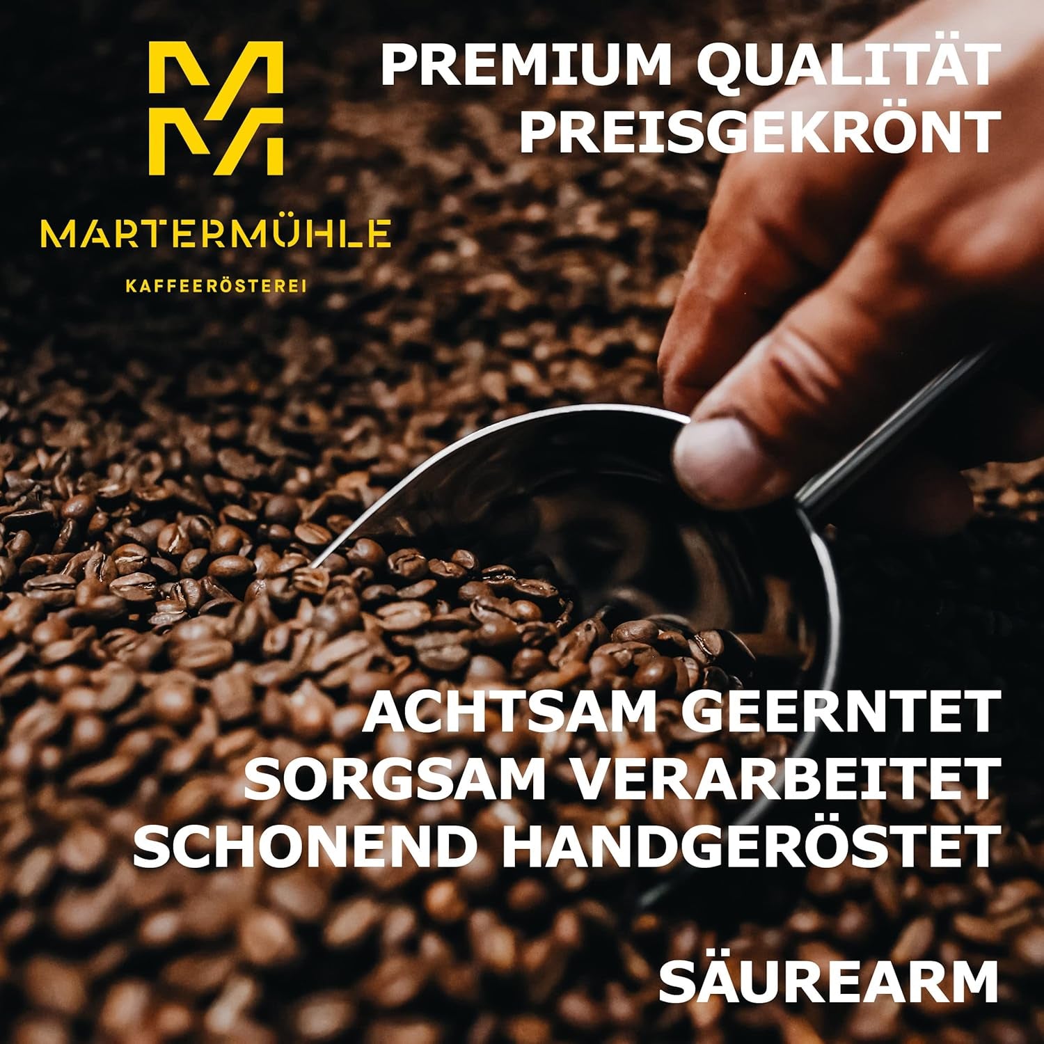 Martermühle Aßlinger Mischung Kaffeebohnen 1kg I Arabica I Aromen: Haselnuss, Leichte Würze, Schokolade I Ganze Kaffee-Bohnen schonend geröstet, säurearm