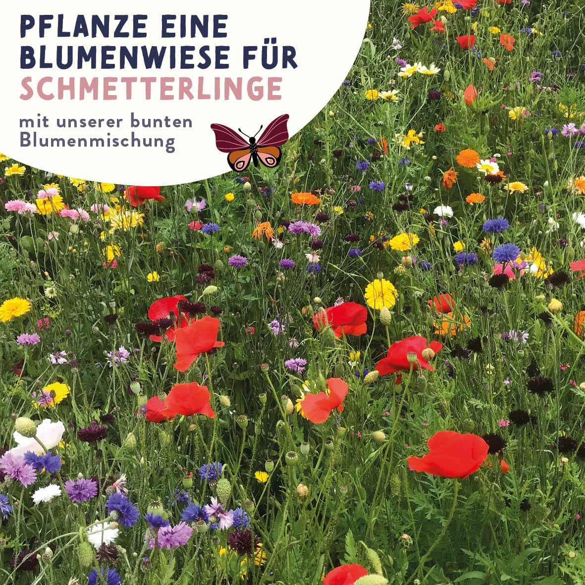 Schmetterlingswiese Blumensamen Schmetterlingsgarten I Blumensamen Balkon I Blumensamen Tütchen mit Wiesenblumen Samen I bienenfreundliche Blumensamen (Schmetterlings-Zauber mini)