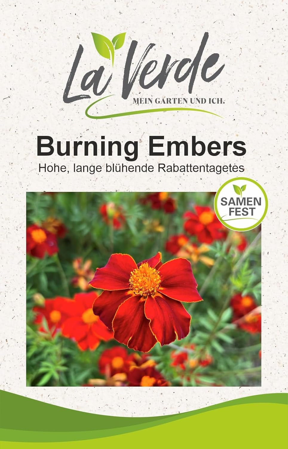 La Verde GRĂDINA MEA ȘI EU. Tagetes Bonita Mix semințe de flori pentru aprox. 100 de plante, gălbenele cu înflorire lungă, flori duble, semințe non-OMG