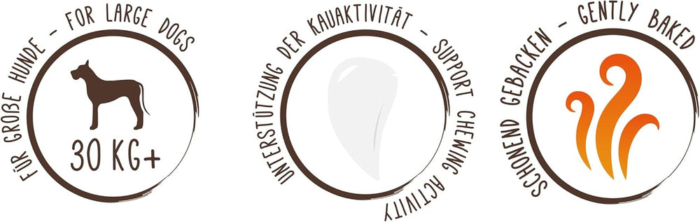 Monede de muesli Sammy's | Gustări crocante coapte pentru câini | Monede de muesli din 5 cereale pentru prietenul tău blănos de talie mare (peste 30 kg) | 1 kg