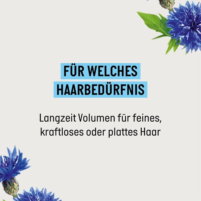 Guhl Langzeit-Volumen-Shampoo – 250 ml Naty Shop