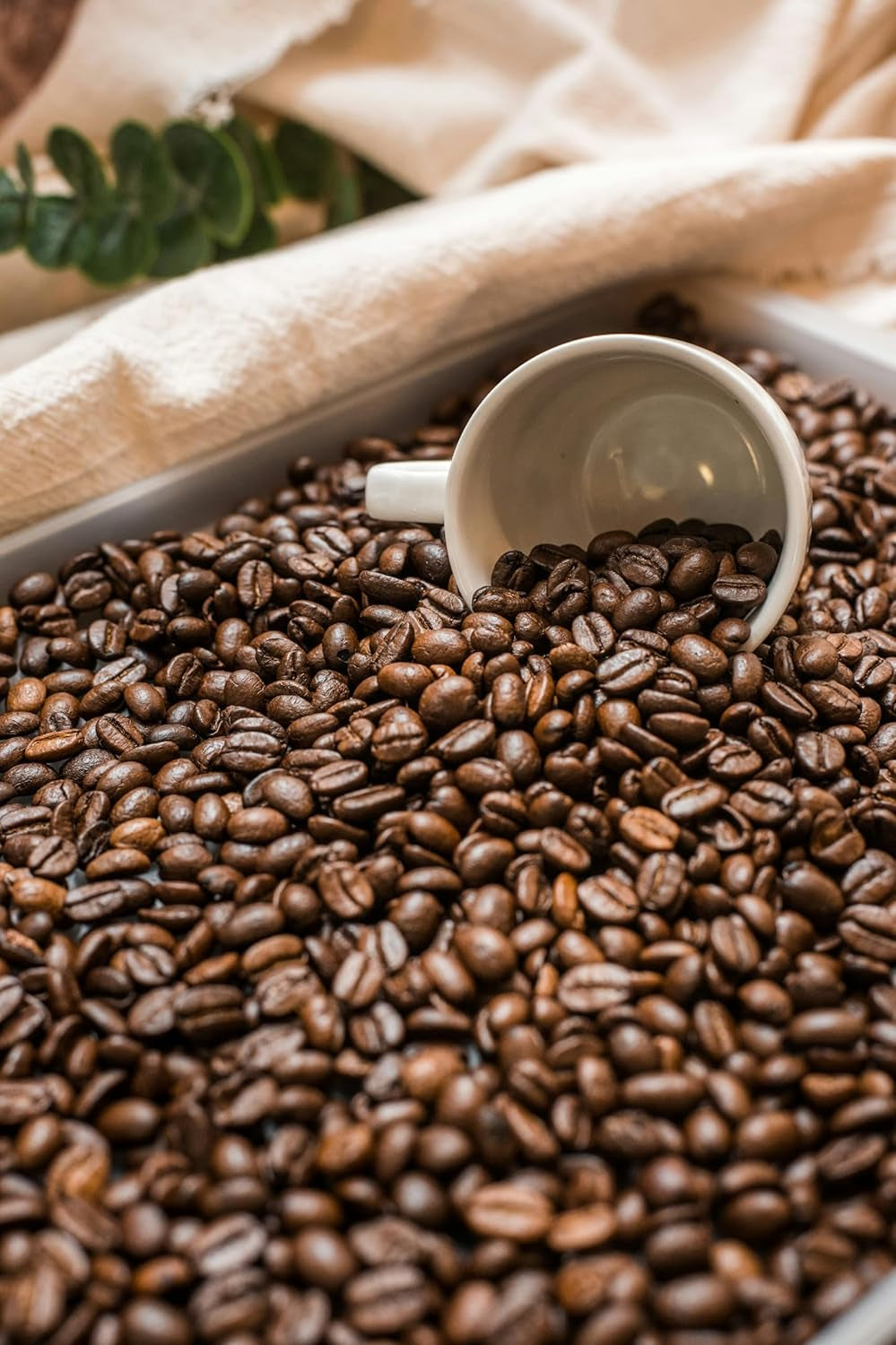 Boabe de cafea decofeinizate. Boabe de cafea prăjite natural. Boabe de cafea decofeinizate 1 kg. Origine: Brazilia. Cafea 100% Arabica din cele mai bune recolte din America de Sud.