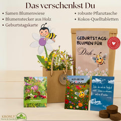 Cadou de ziua de naștere, kit de plantare a florilor pentru ziua de naștere, pungă cadou surpriză, cadou de ziua de naștere pentru femei, semințe de flori pentru plantare individuală