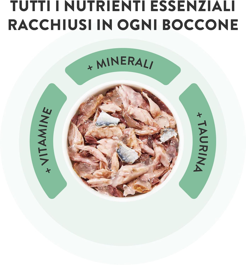 Ton cu somon în jeleu, hrană umedă completă pentru pisici, la conservă, cu vitamine adăugate, 100% naturală, 6 x 85 g