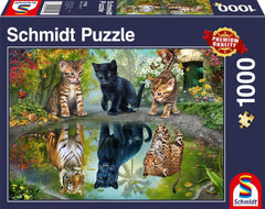 Schmidt Spiele 57392 Dream Big, Katzen, Puzzle 1000 Teile Puzzle Naty Shop Standardtitel