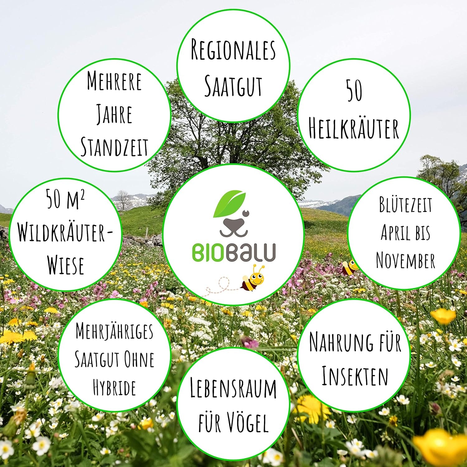 Wilde Apotheke - 50 Traditionelle Heilkräuter Samen - Bienenfreundliche Wildblumenwiese, Wildkräuter Samen Mehrjährig & Regional, Arzneipflanzen Saatgutmischung 30 G
