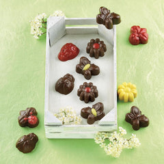 Silikomart 199199, Form für Schokolade, Frühlingsmodell, 15 Pralinen, Brown Kitchen Naty Shop