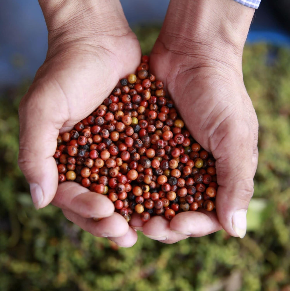 Spicebar Roter Kampot Pfeffer, Premium Auslese aus Kambodscha (1 x 70g)