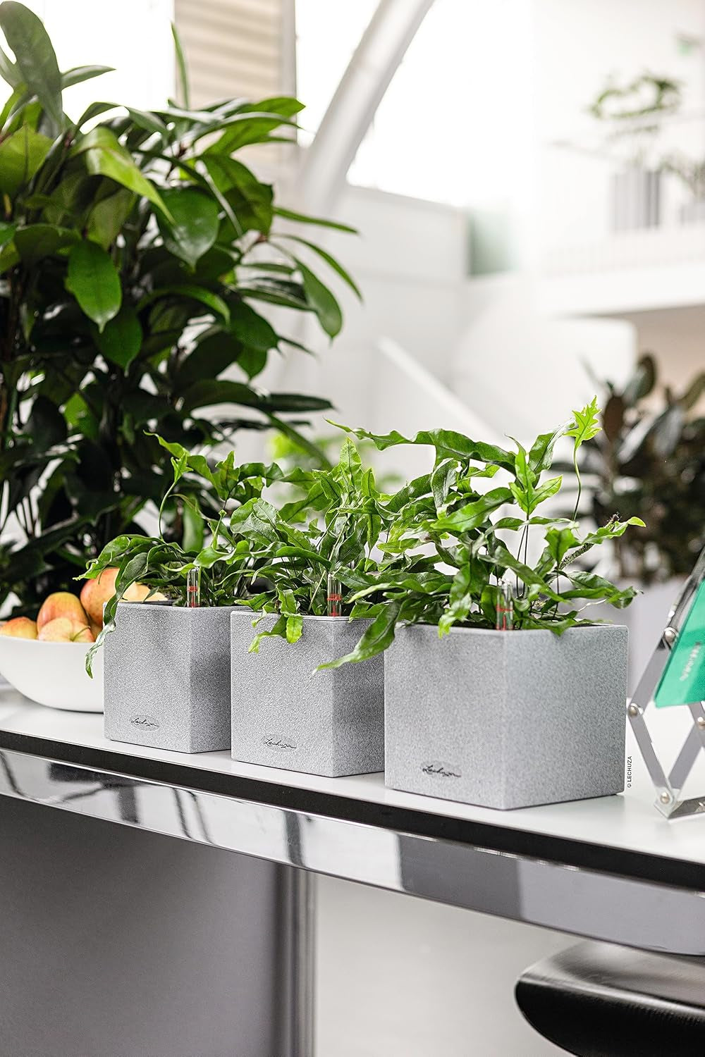 Cub de plante aromatice de înaltă calitate LECHUZA CANTO Stone 14 cu sistem de udare cu bețișor, gri piatră