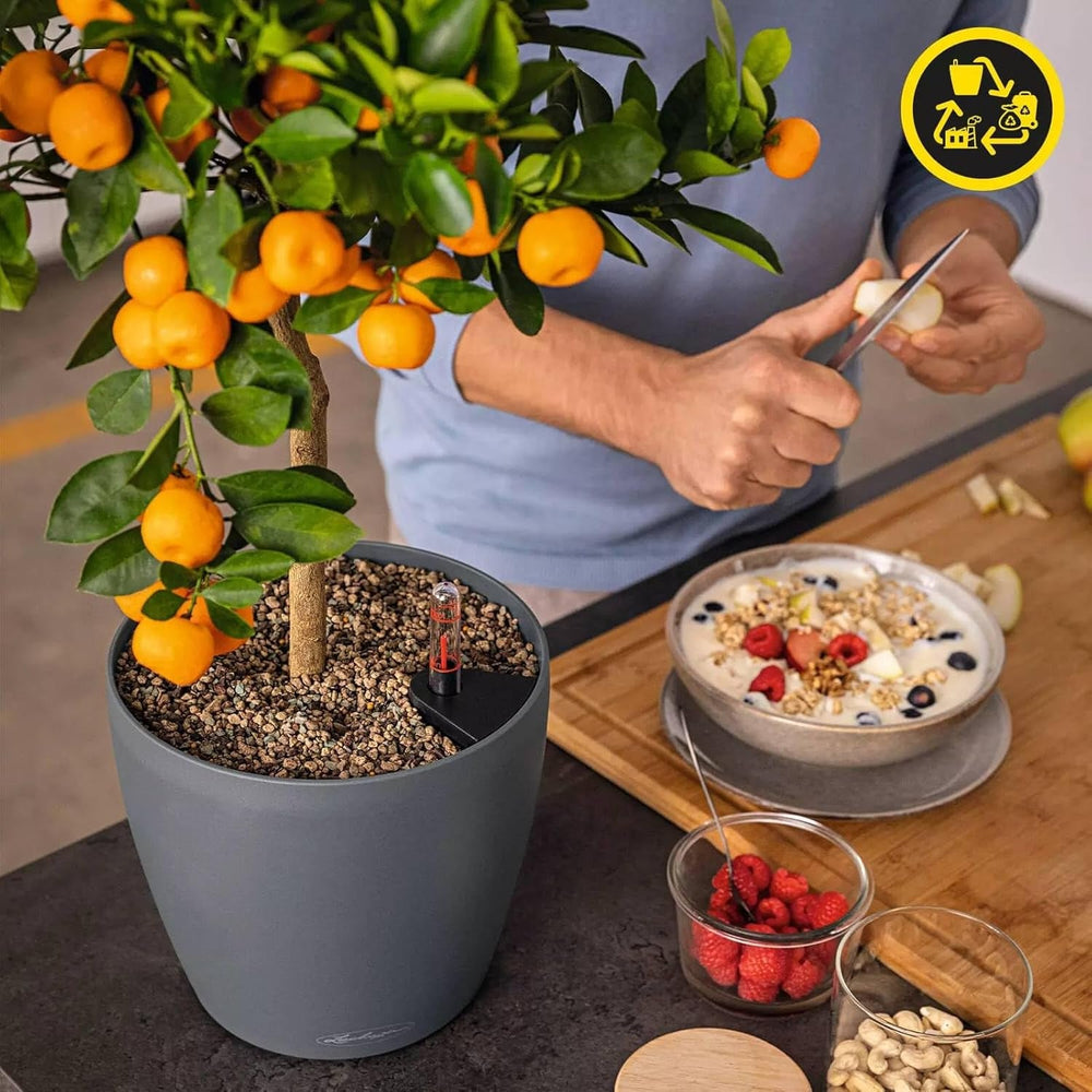 Jardinieră LECHUZA Classico Color ECO 60 Gri Închis | Jardinieră cu sistem de udare și indicator al nivelului apei | Fabricată din plastic 100% reciclat | Finisaj mat | Ø 60 x 55,5 cm | 18955