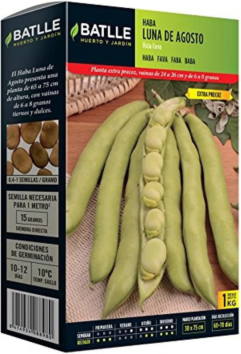 Samen Batlle – Haba Frühe Bohne Carmen, Lang 1 Kg