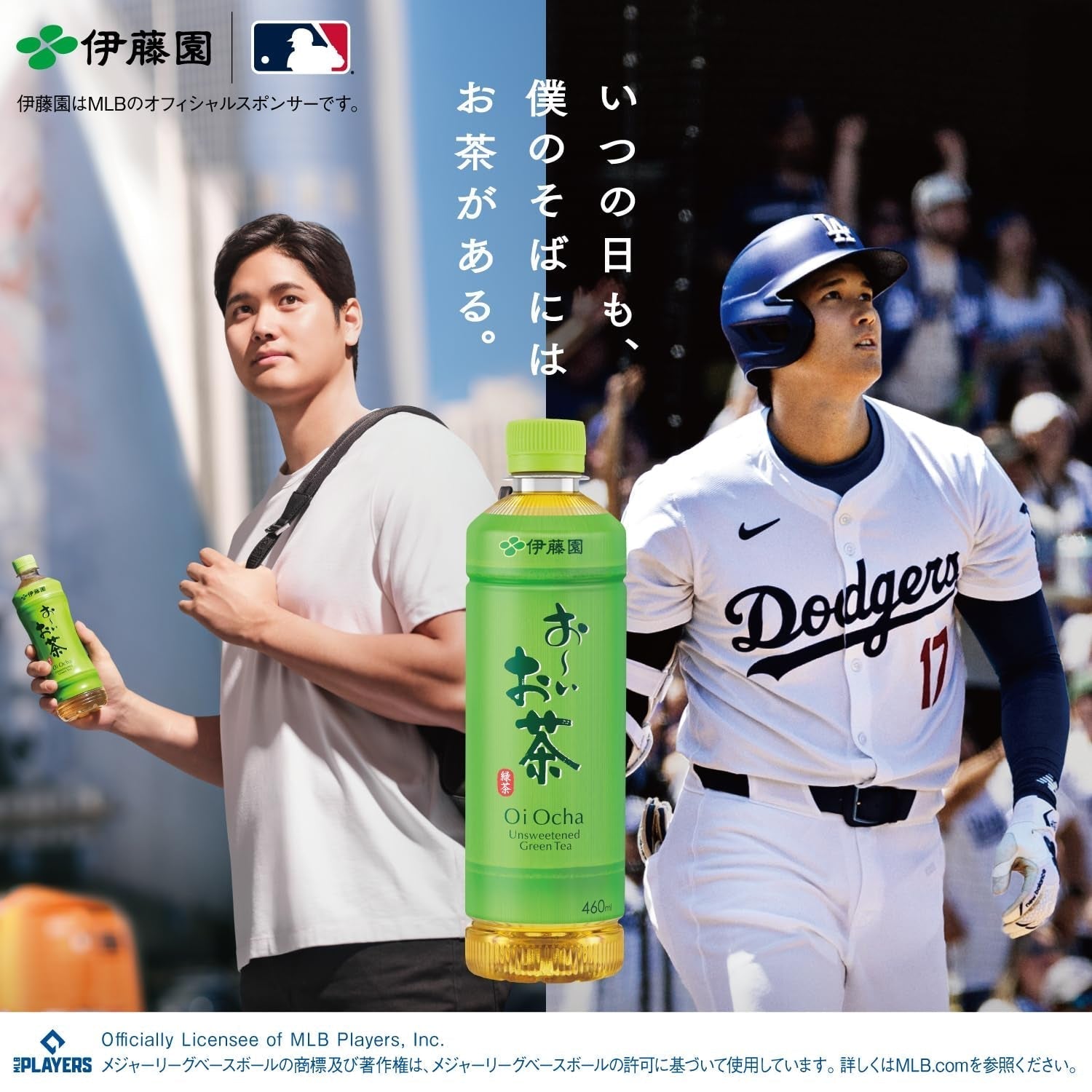 Itoen Oiocha Matcha-Iri Ryokucha - Frunze de ceai verde japonez - 100 g