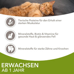 IAMS Delights Land Collection Hrană umedă pentru pisici - Pachet multiplu cu varietăți de carne (miel, vită, pui și curcan) în sos, hrană umedă pentru pisici de la 1 an, 12 x 85g