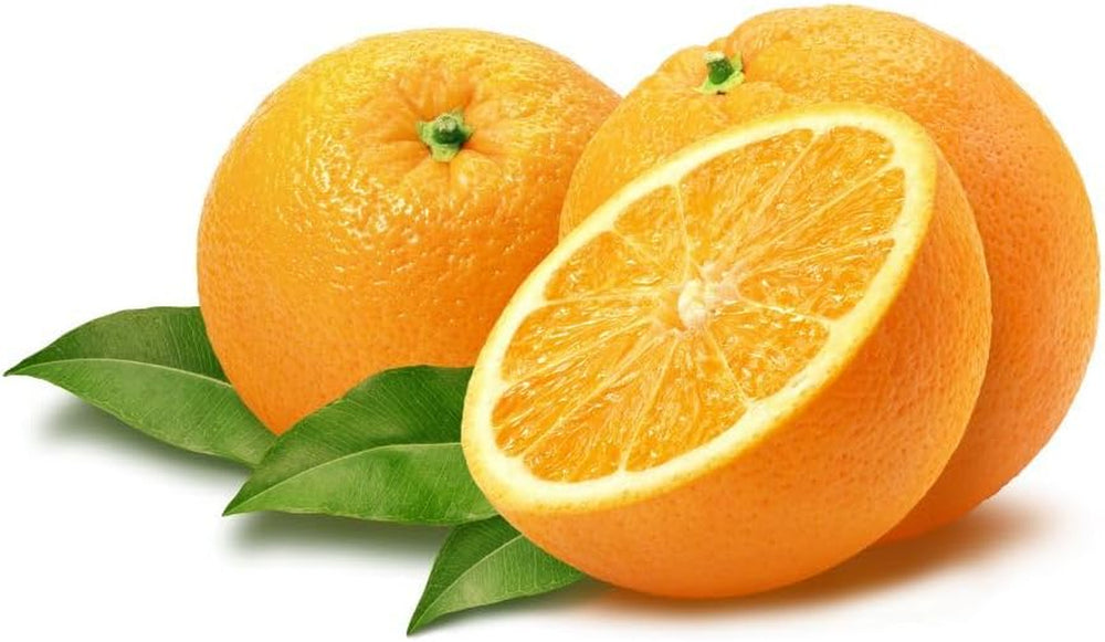 Zitrusorange – Washington Nabel Obstbäume Höhe: 60~80 Cm Vase: Durchmesser 22 Cm