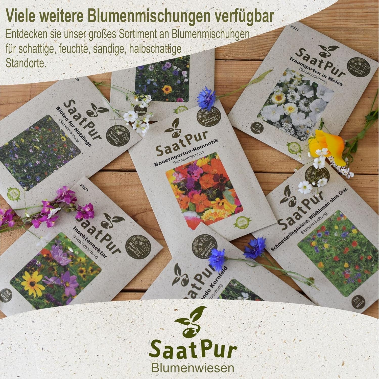 50-75 M² Schmetterlingswiese 0,5 Kg (Ohne Gras, Mit Saathelfer) – Für Sandige Standorte 500G Wildblumenmischung Blumenmischung
