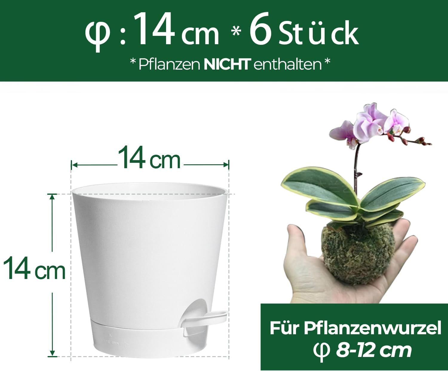 Ghiveci de flori din plastic T4U de 14 cm cu sistem de udare, set de 6 ghivece cu auto-udare și farfurioare, ghivece rotunde pentru plante de grădină de interior și balcon, suculente, cactuși, alb