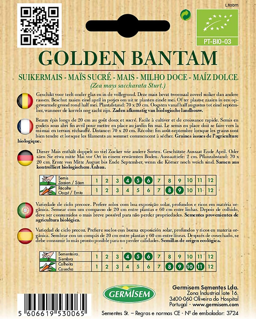 Mais GOLDEN BANTAM, ECBIO5025