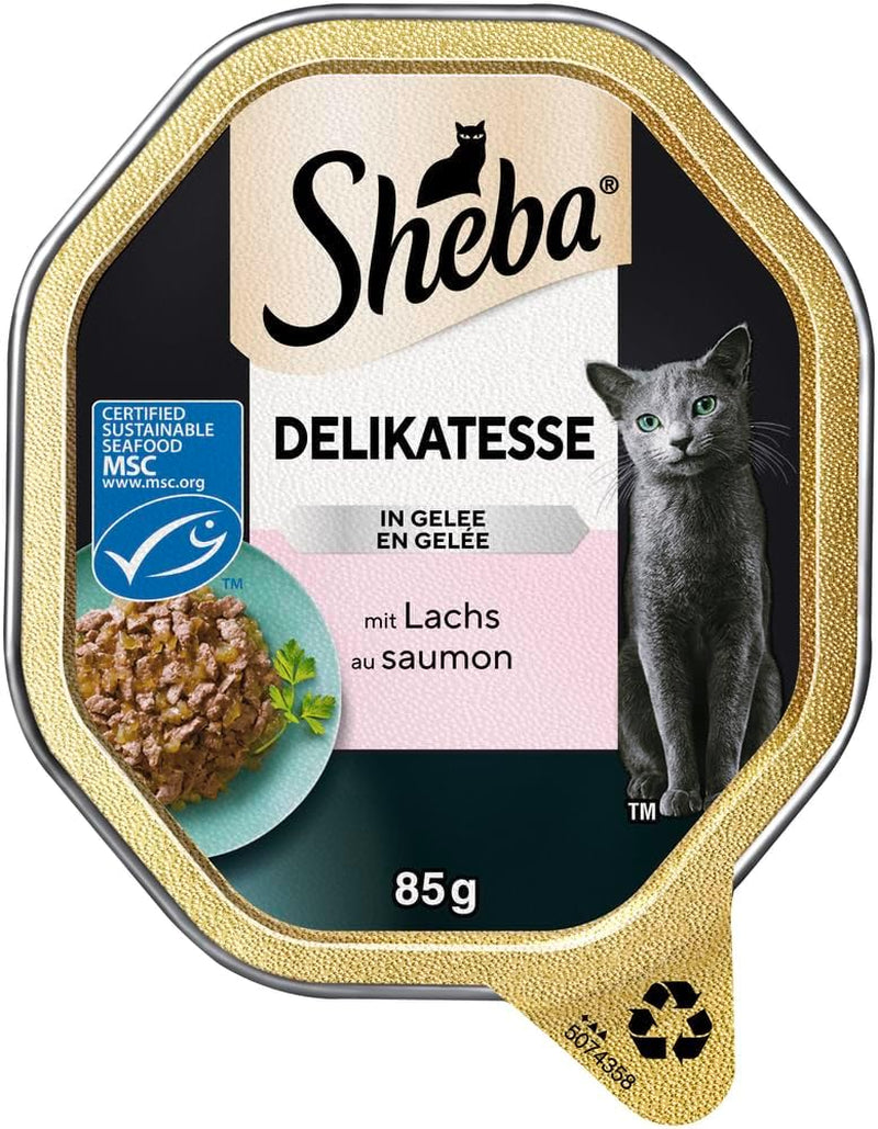Hrană umedă pentru pisici Sheba, Delicatess în jeleu cu somon, 2 x 11 x 85g