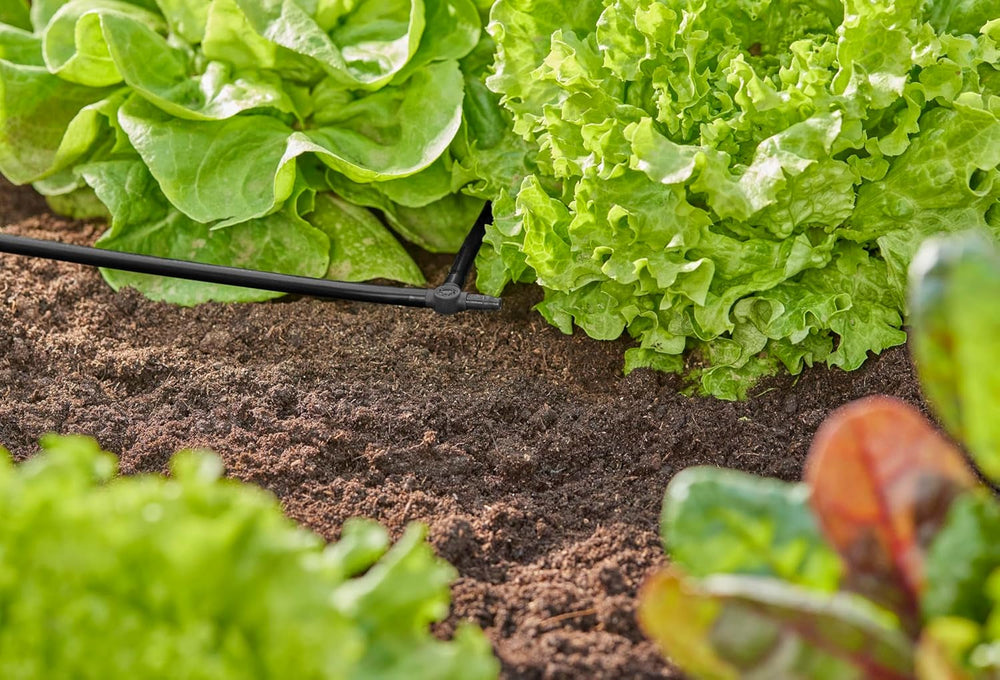 Piesă în T pentru sistemul de irigare Gardena Micro-Drip 4,6 mm (3/16 inch): Accesoriu pentru ramificarea distribuției și a liniilor de picurare, pentru instalare fără îndoiri, cu tehnologie de conectare Easy & Flexible (13211-20)