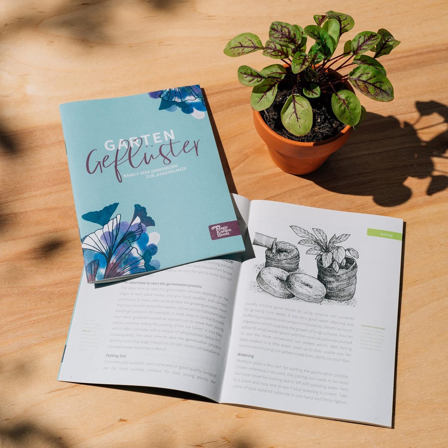 Magic Garden Seeds - Samen-Geschenkset Blütenwunder mit 6 prächtigen alten Blumensorten für den Bauerngarten - Blumensamen alte Sorten - Blumen Samen - Garten Geschenk