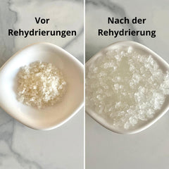 Natural Probio® Wasserkefir, Kefirpilz, Japankristalle, Kefirknollen, Starter Set + Anleitung, Rezept, Tipps, E-Book & Rezeptbibliothek + Kundenservice auf Lebenszeit (10g dehydriert/60g rehydriert)