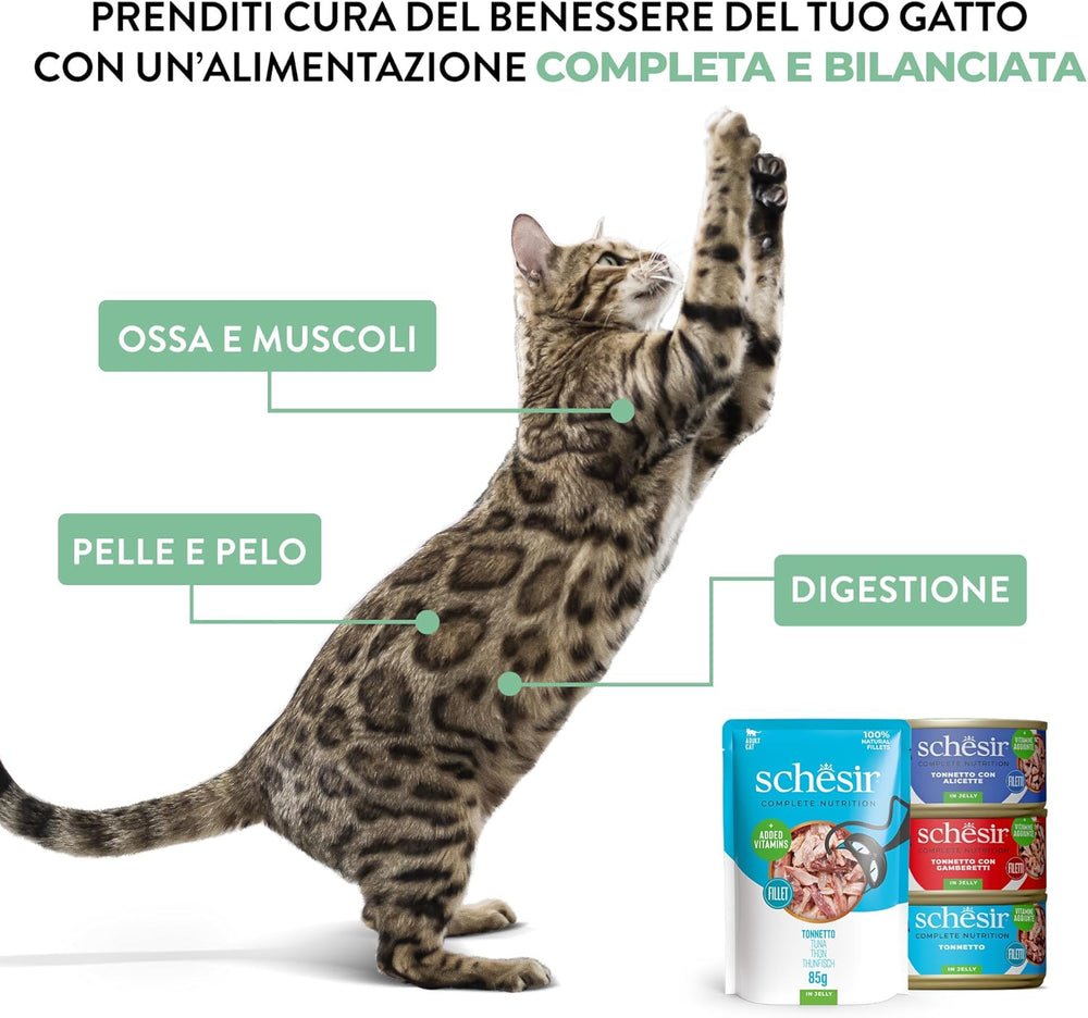 Ton cu somon în jeleu, hrană umedă completă pentru pisici, la conservă, cu vitamine adăugate, 100% naturală, 6 x 85 g