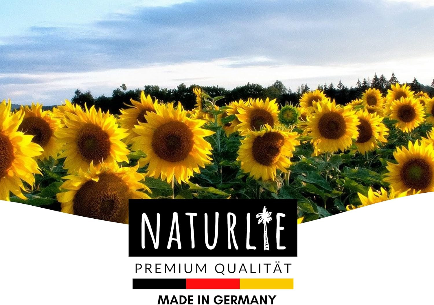 12Er Sonnenblumen Samen Set - 12 Schöne Sorten Premium Sonnenblumensamen - Blumen Saatgut Für Bienen - Super Garten Geschenk - Blumensamen Sommerblumen Anzuchtset Von