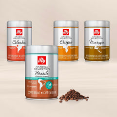 Kaffeebohnen Illy Arabica Selection Brasile Cerrado Mineiro: 100 % aus zertifizierten regenerativen Pflanzen – 250-G-Box Coffee Naty Shop