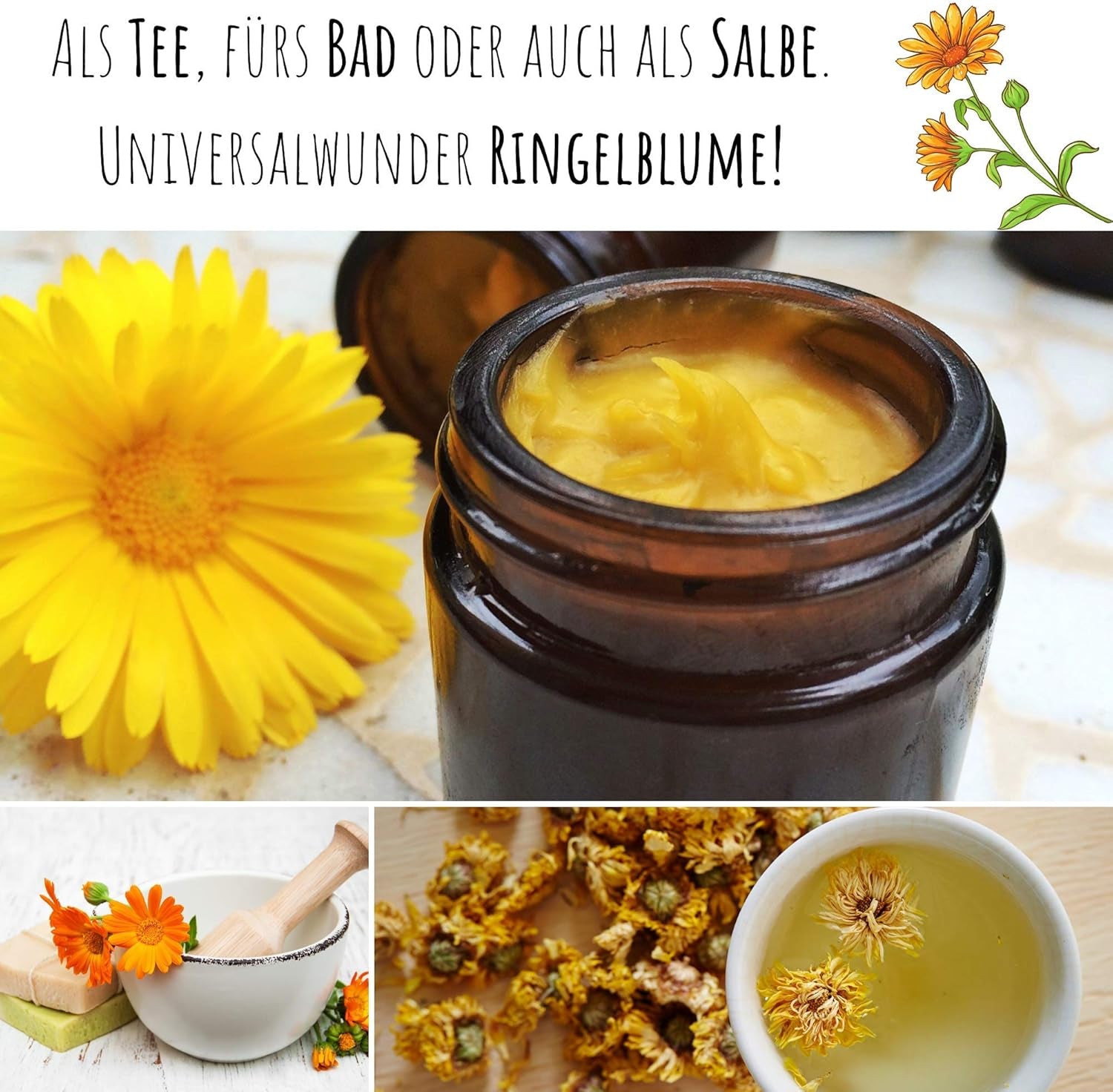 Semințe de gălbenele (Calendula officinalis) - Plantă medicinală versatilă cu flori comestibile și ideală pentru o pajiște cu flori colorate (Abendrot)
