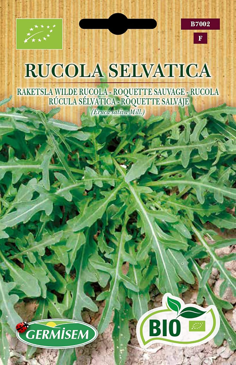 Rucola RUCOLA SELVATICA, ECBIO7002