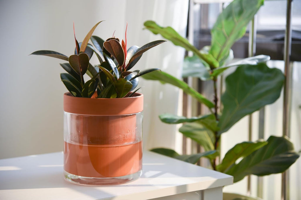 Ghiveci cu auto-udare, 15,2 cm, ghiveci din teracotă cu rezervor de sticlă pentru plante de apartament, ierburi aromatice, flori, 52-AF