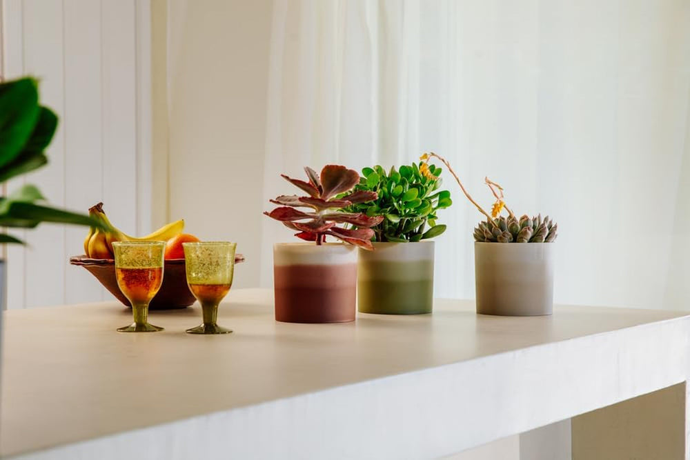 Ghiveci rotund elho Colour Gradient 18cm - Ghiveci de flori de interior - 100% plastic reciclat - Ø 18,2 x H 16,8 - Bej/Bej Gresie