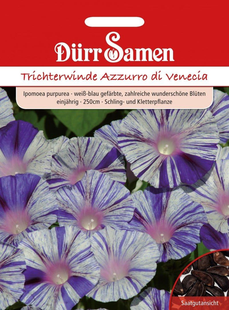 Semințe Dürr 1148 Morning Glory Azzurro di Venezia (Semințe de Morning Glory)