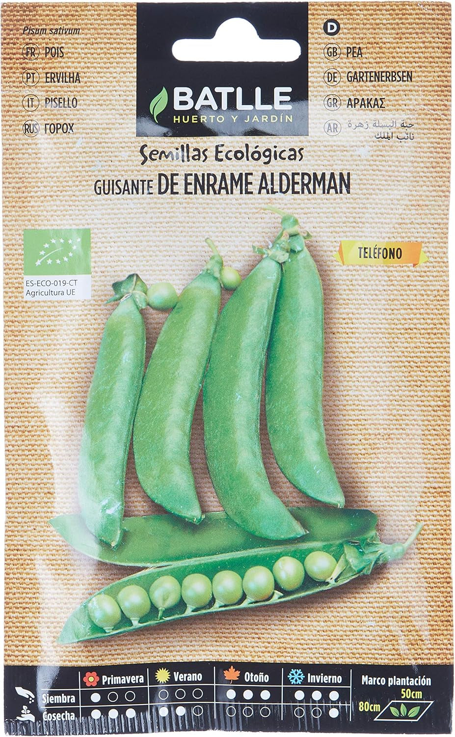 Erbse Alderman - ECO