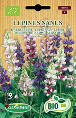 Lupine LUPINUS NANUS, ECBIO1562