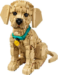 LEGO Icons Golden Retriever Welpe - Modellbau für Erwachsene - 3D Tierfigur zum Ausstellen mit Halsband & Medaille - DIY Deko für Regal oder Schreibtisch - Geschenkidee für Kunst- & Bastelfans - 11384
