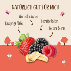 Allos Hof Granola cu fructe de pădure | Muesli organic | Muesli cu fructe de pădure | Muesli crocant | Cereale pentru micul dejun | Pachet de 6 (6 x 300g), 1 bucată (pachet de 6)