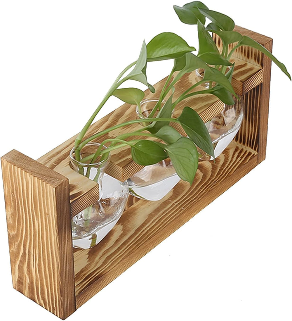 Terariu cu plante cu suport din lemn, vază de masă în formă de inimă, plante hidroponice din sticlă transparentă pentru decorarea grădinii de acasă, decorațiune hidroponică cu flori pentru birou, living, bucătărie (A)