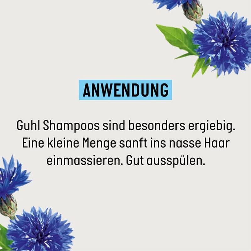 Guhl Langzeit-Volumen-Shampoo – 250 ml Naty Shop
