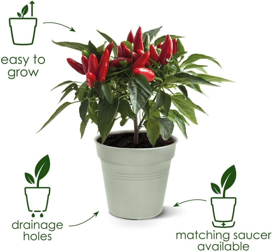 elho Green Basics Ghiveci pentru răsaduri 30 - Ghiveci pentru creștere și recoltare - Ø 30,0 x H 27,7 cm - Verde/Verde frunză