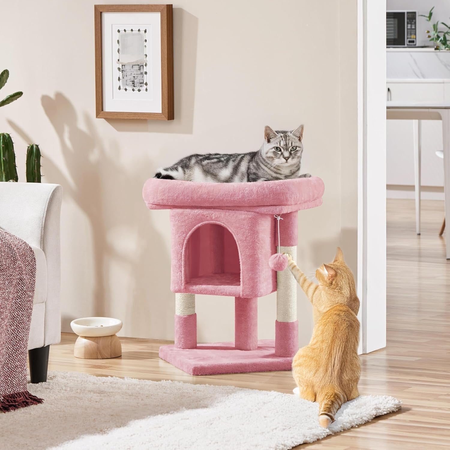 Pături & Mobilier, Animale de companie, Pisici, Paturi pentru pisici, Scratching Post, Pisici - culcusuri, saltele