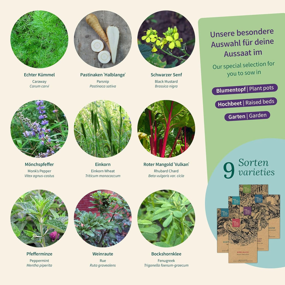 Semințe Magic Garden - Grădina Mănăstirii: Legume și Ierburi din Evul Mediu - Cutie cu Semințe cu 9 Soiuri Istorice pentru Bucătărie, Plante Medicinale și Grădină