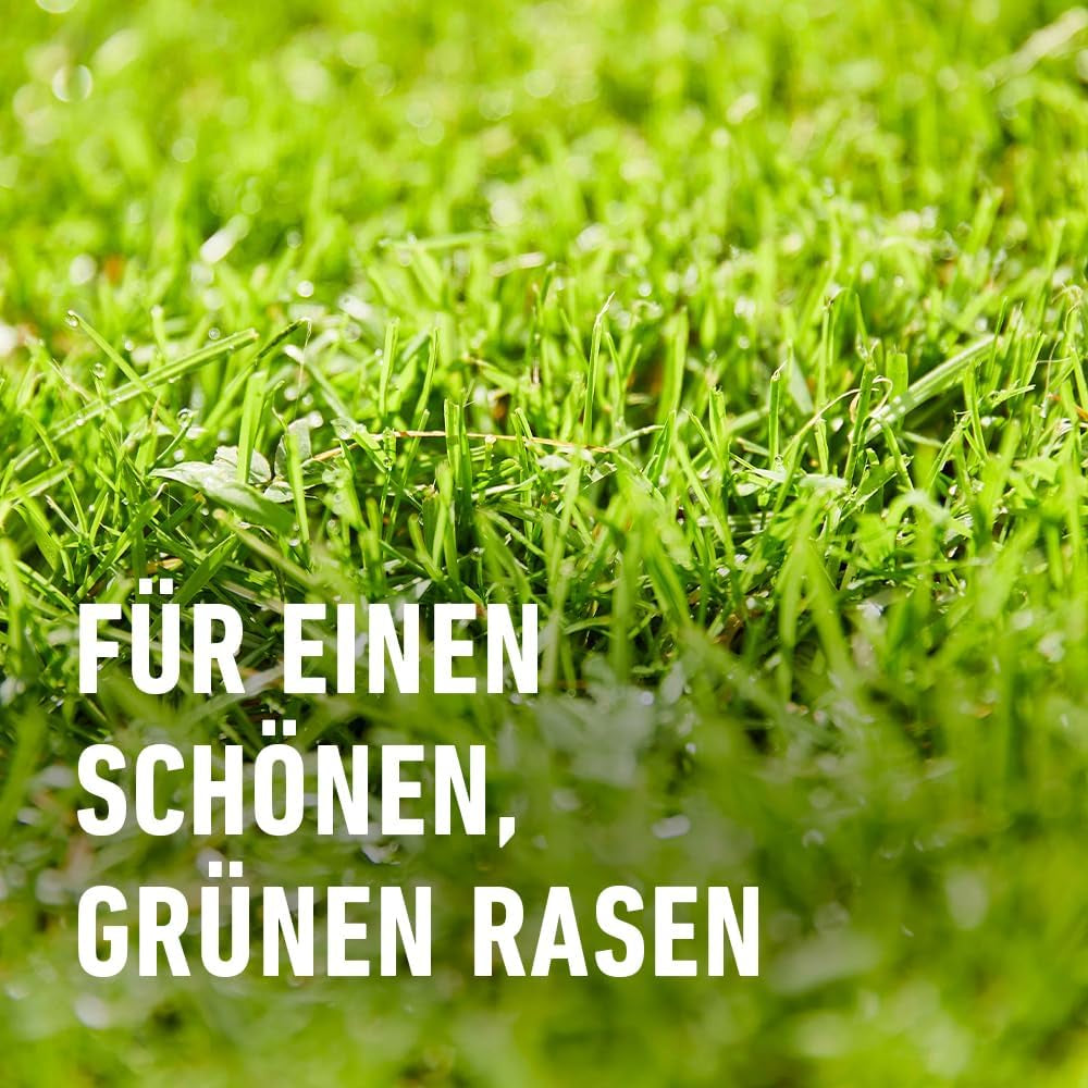 COMPO Turbo Nachsaat - Schnellkeimende Rasensaat - Premium Rasensamen Mit Keimsicherheit - 2,6Kg Für 130 M²