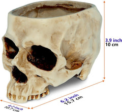 Ghiveci de flori READAEER în formă de craniu