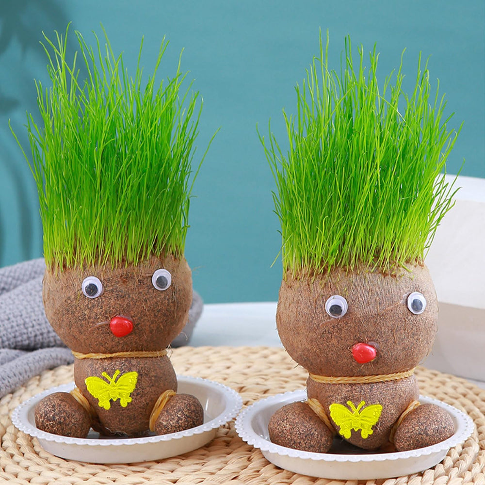 2 Stück Graskopf Wachsende,Graskopf Puppenpflanze,Wachsende Graskopf Puppenpflanze,Graskopf Haarwuchs,Grass Head Doll Bonsai Growing Plants,Mini Bonsai Gras Kopf Figure Puppen Für Schlafzimmer