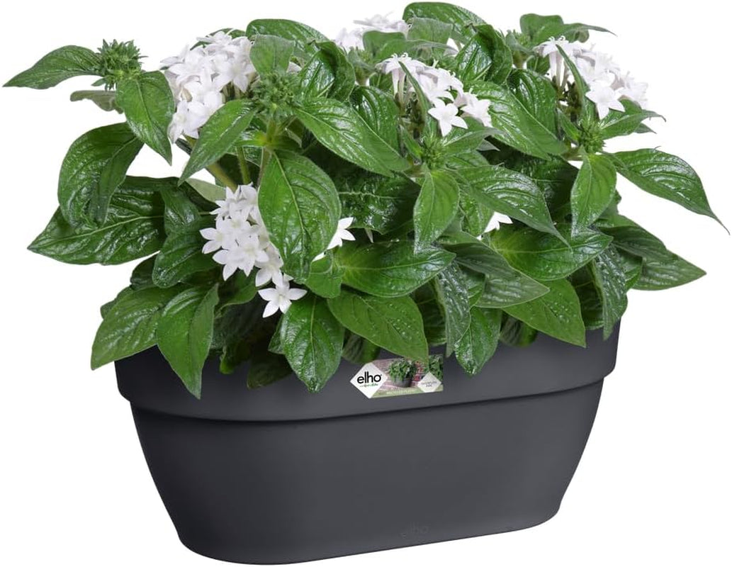 elho Vibia Campana Jardinieră de perete 35 - Jardinieră pentru balcon și utilizare în exterior - Ø 35,0 x H 14,8 cm - Negru/Antracit